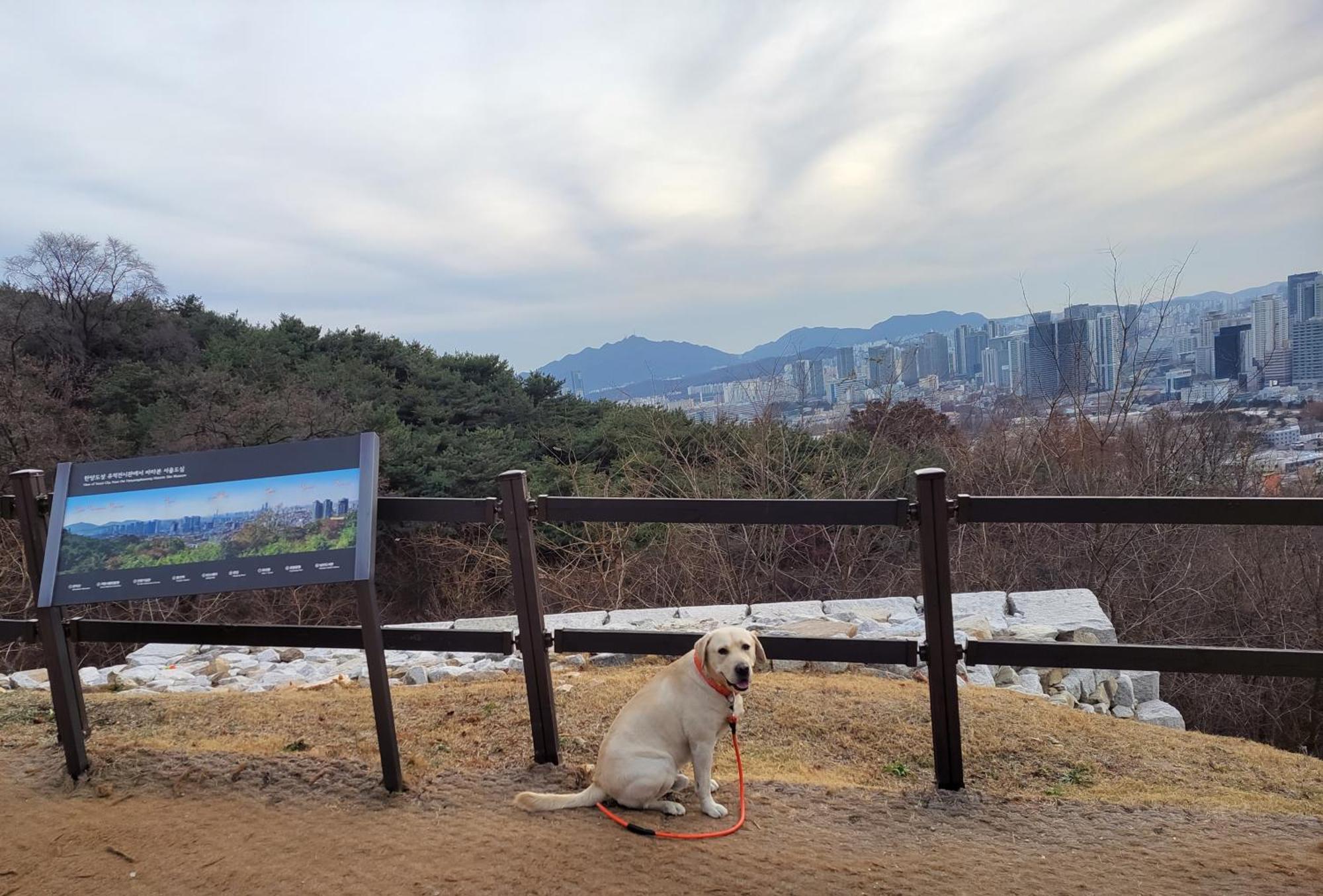 On The Main Street Of Hbc #4 Villa Seoul Bagian luar foto