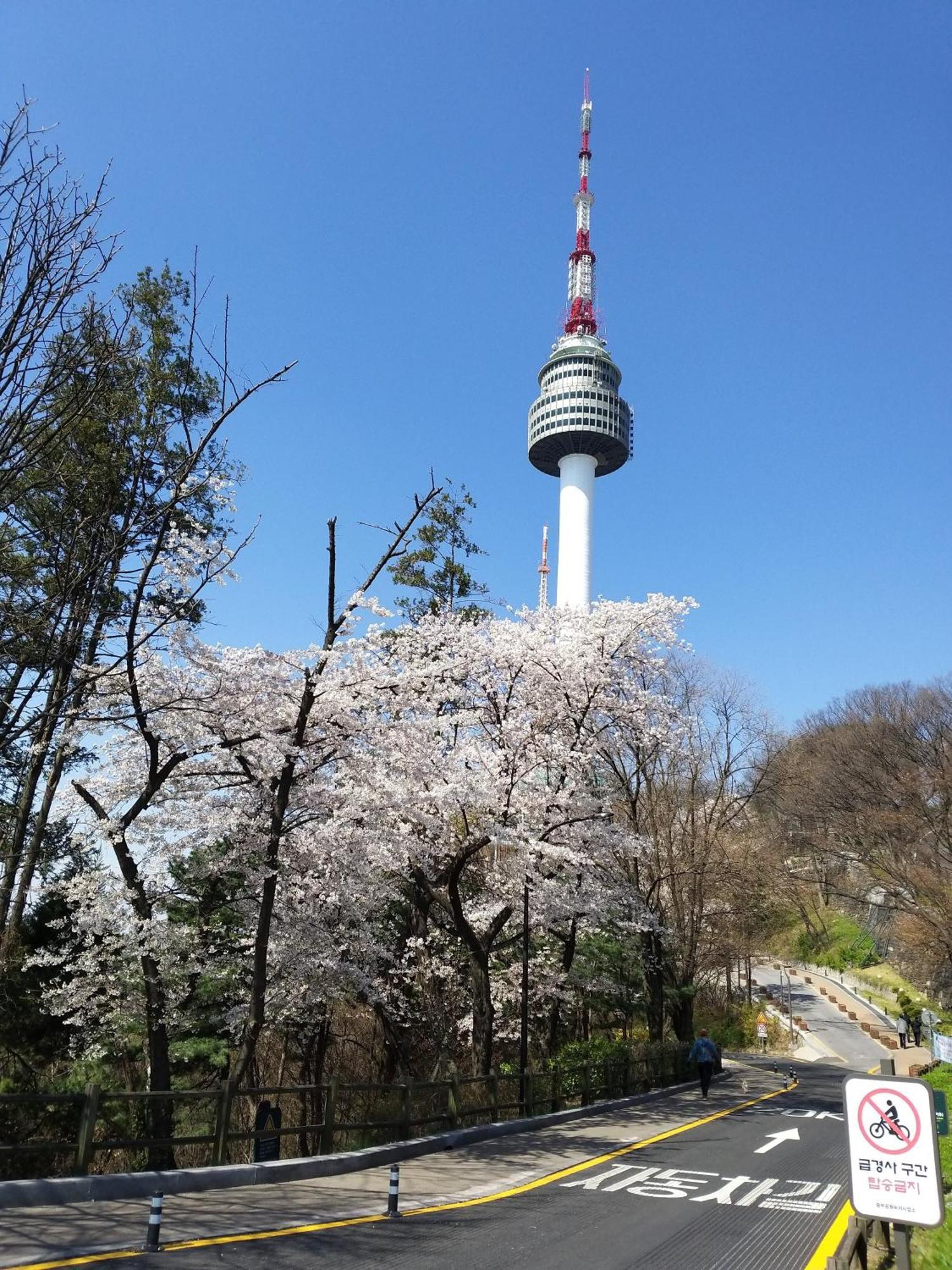 On The Main Street Of Hbc #4 Villa Seoul Bagian luar foto